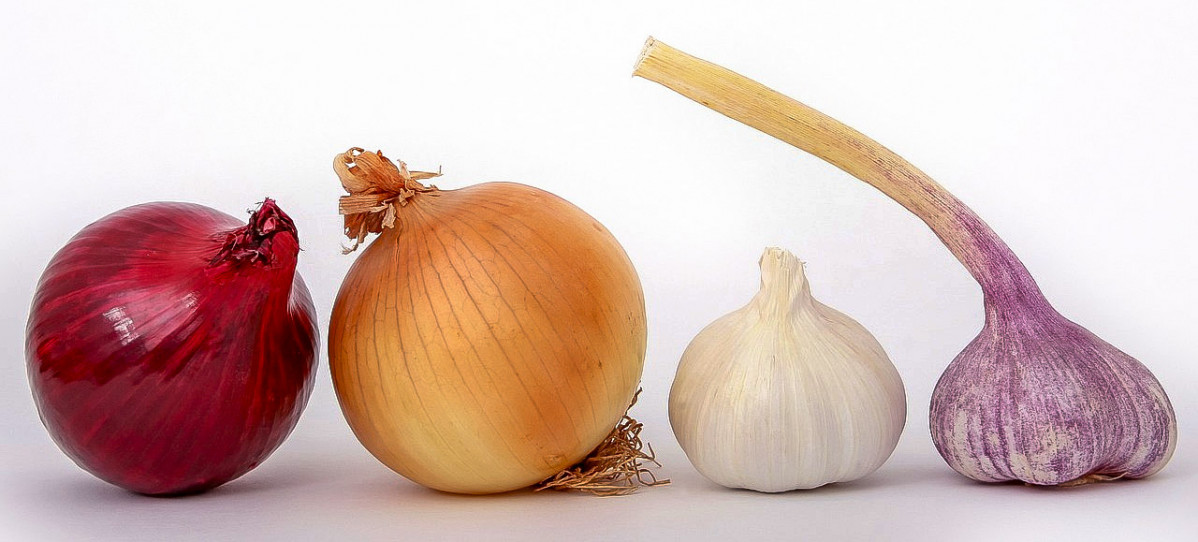 Ajo y cebolla